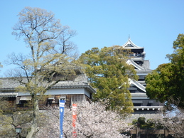 f0221382_0235562.jpg