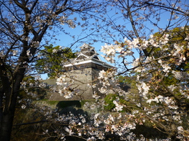 f0221382_112541.jpg