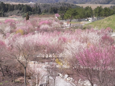 c0192687_2110198.jpg