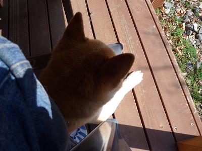 c0123890_2162323.jpg