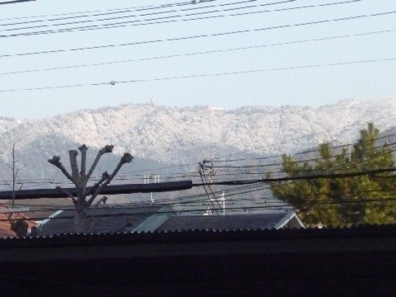 c0108693_21504585.jpg