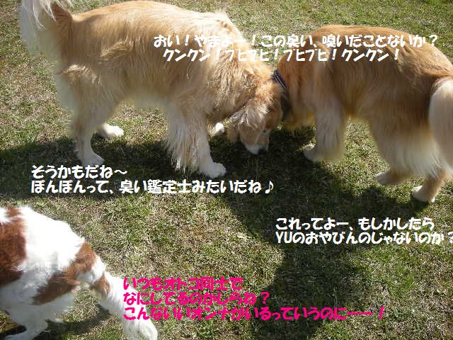 e0130299_22261640.jpg