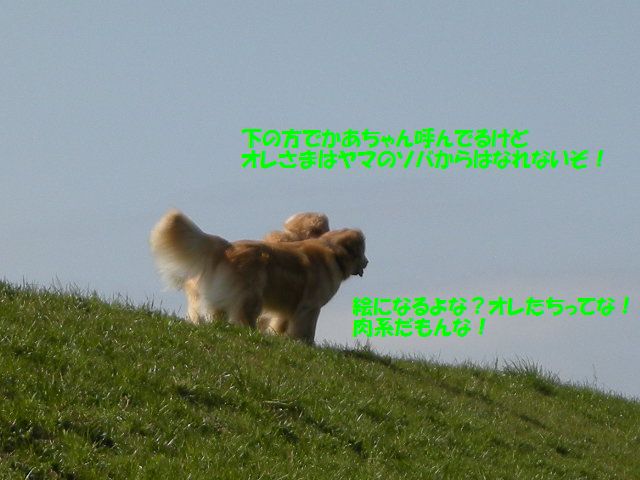 e0130299_2231896.jpg