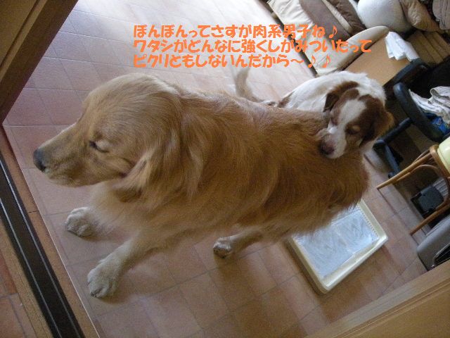 e0130299_2238750.jpg