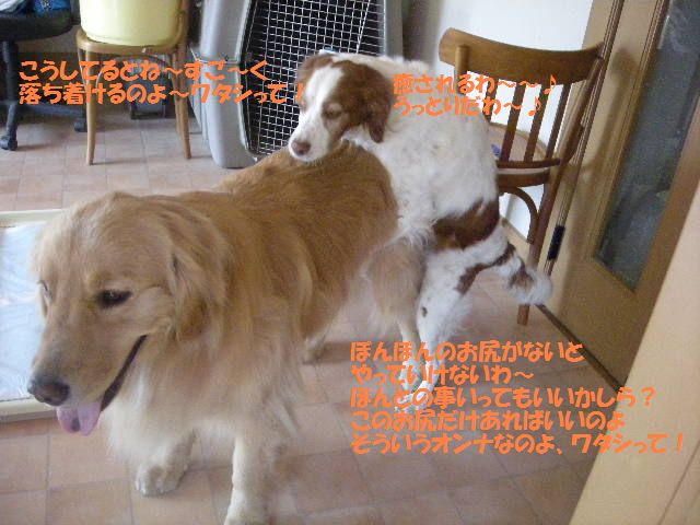 e0130299_22411224.jpg