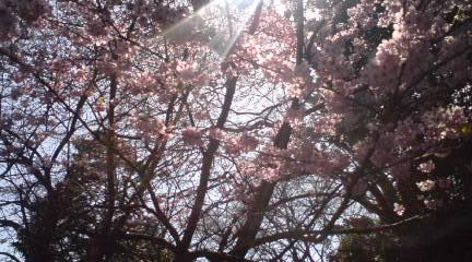 c0202101_01124.jpg