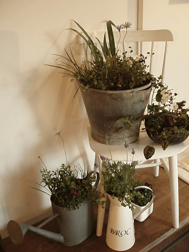 c0129702_2333629.gif