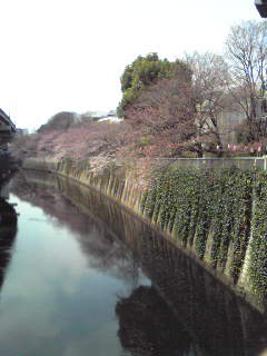 f0129610_2226219.jpg