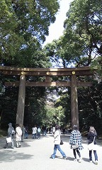 b0184211_17354466.jpg
