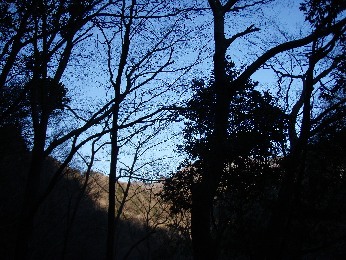 f0103126_21422769.jpg