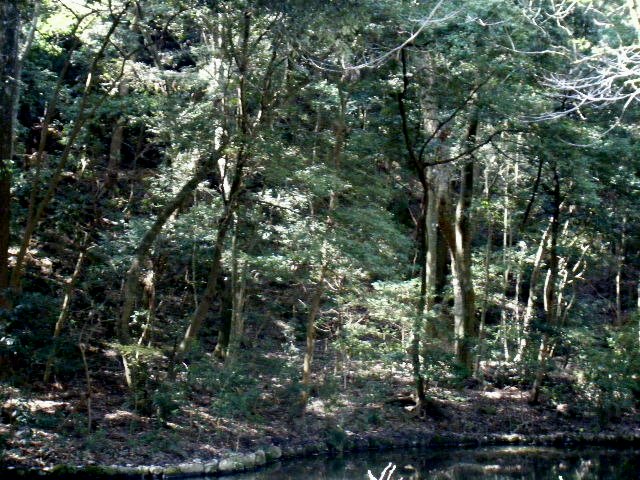 d0126727_9241732.jpg