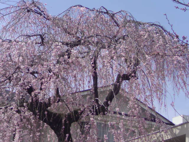 e0016828_10263072.jpg