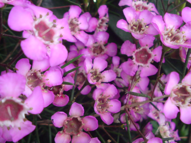 e0016828_10305572.jpg