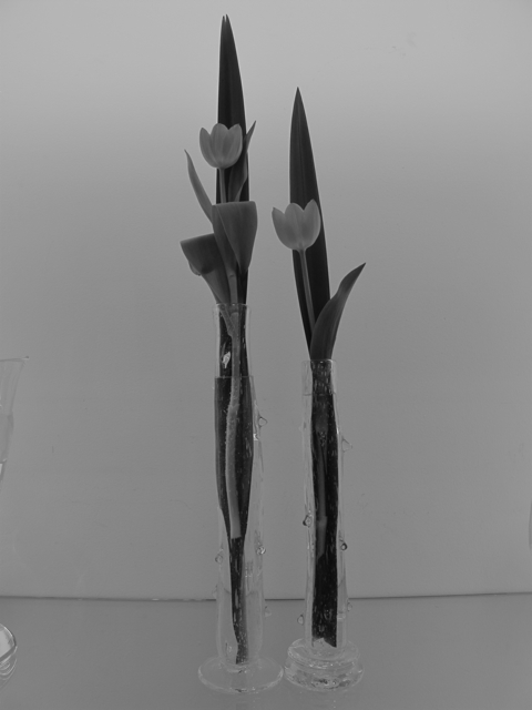 f0045630_23351625.jpg