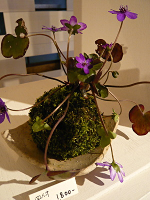f0080530_2032593.jpg