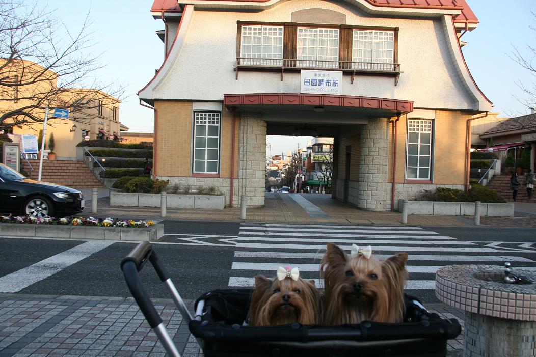 f0124830_1503779.jpg