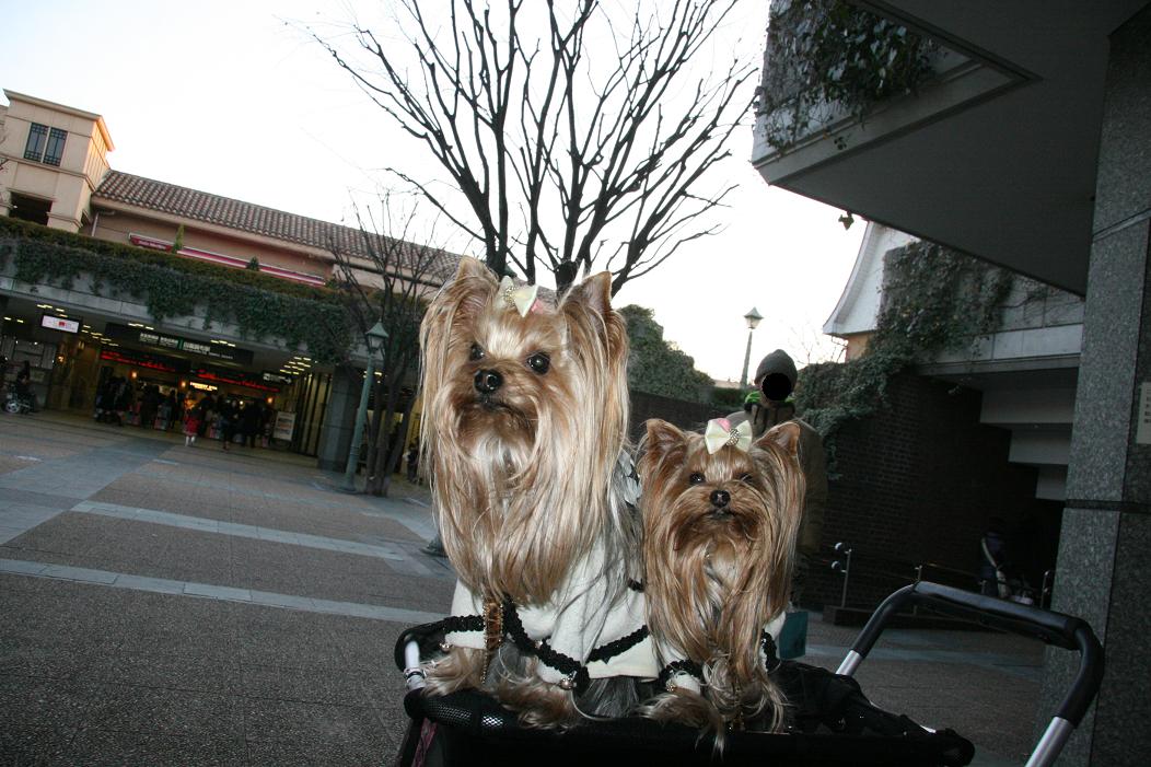 f0124830_152519.jpg