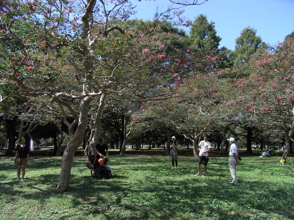 b0159631_2165275.jpg