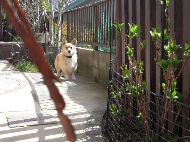 b0025633_1055574.jpg