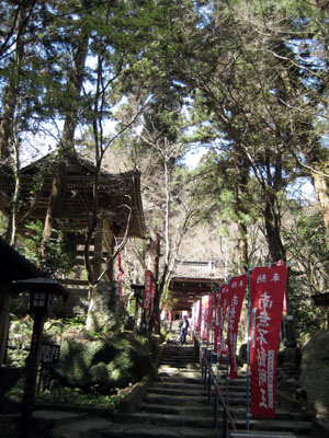 d0118933_1148323.jpg