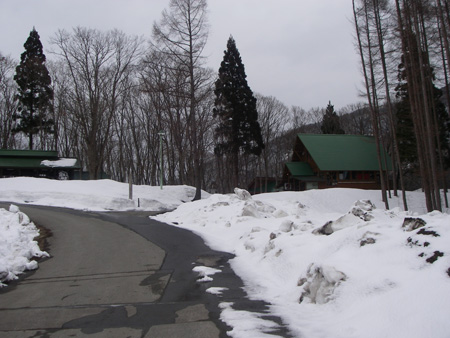 e0008833_1238092.jpg