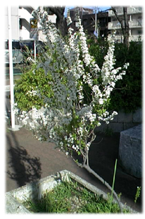 f0034334_16293793.jpg
