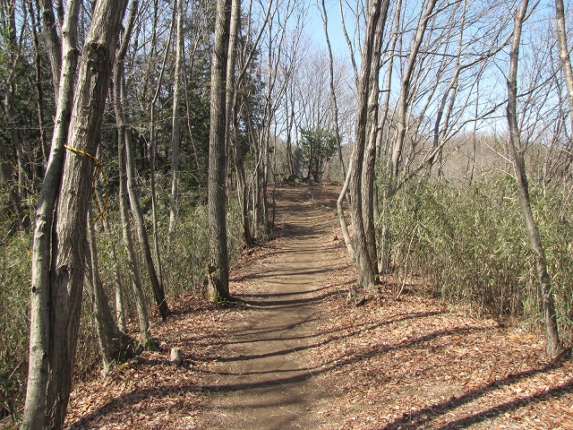 b0097836_14153350.jpg