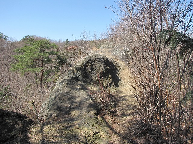 b0097836_14161591.jpg