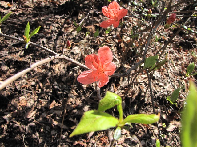 b0097836_14173478.jpg