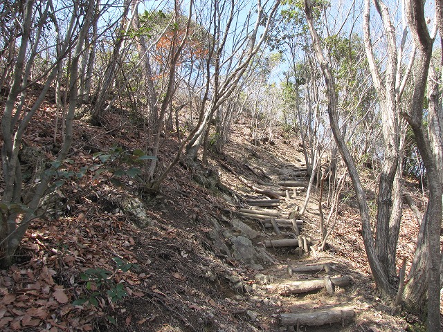 b0097836_14184823.jpg