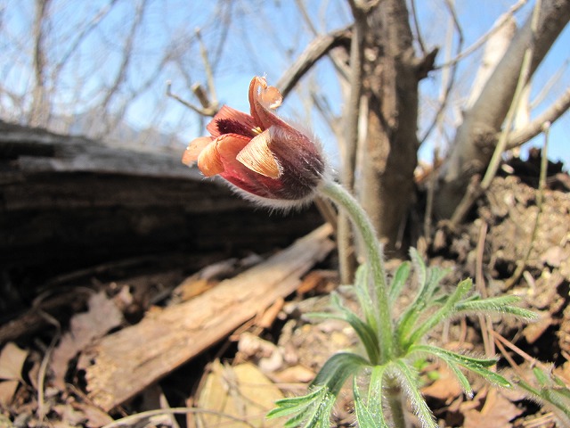 b0097836_14254165.jpg