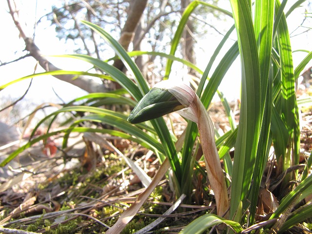 b0097836_14293736.jpg