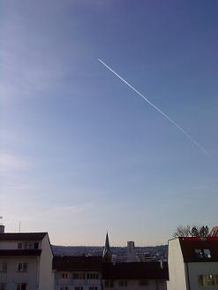 c0198438_481597.jpg