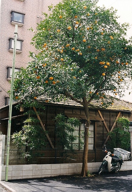 a0009142_23361010.jpg