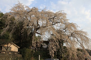 c0137145_1214834.jpg
