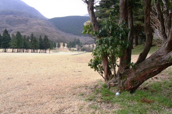 c0067646_2001369.jpg
