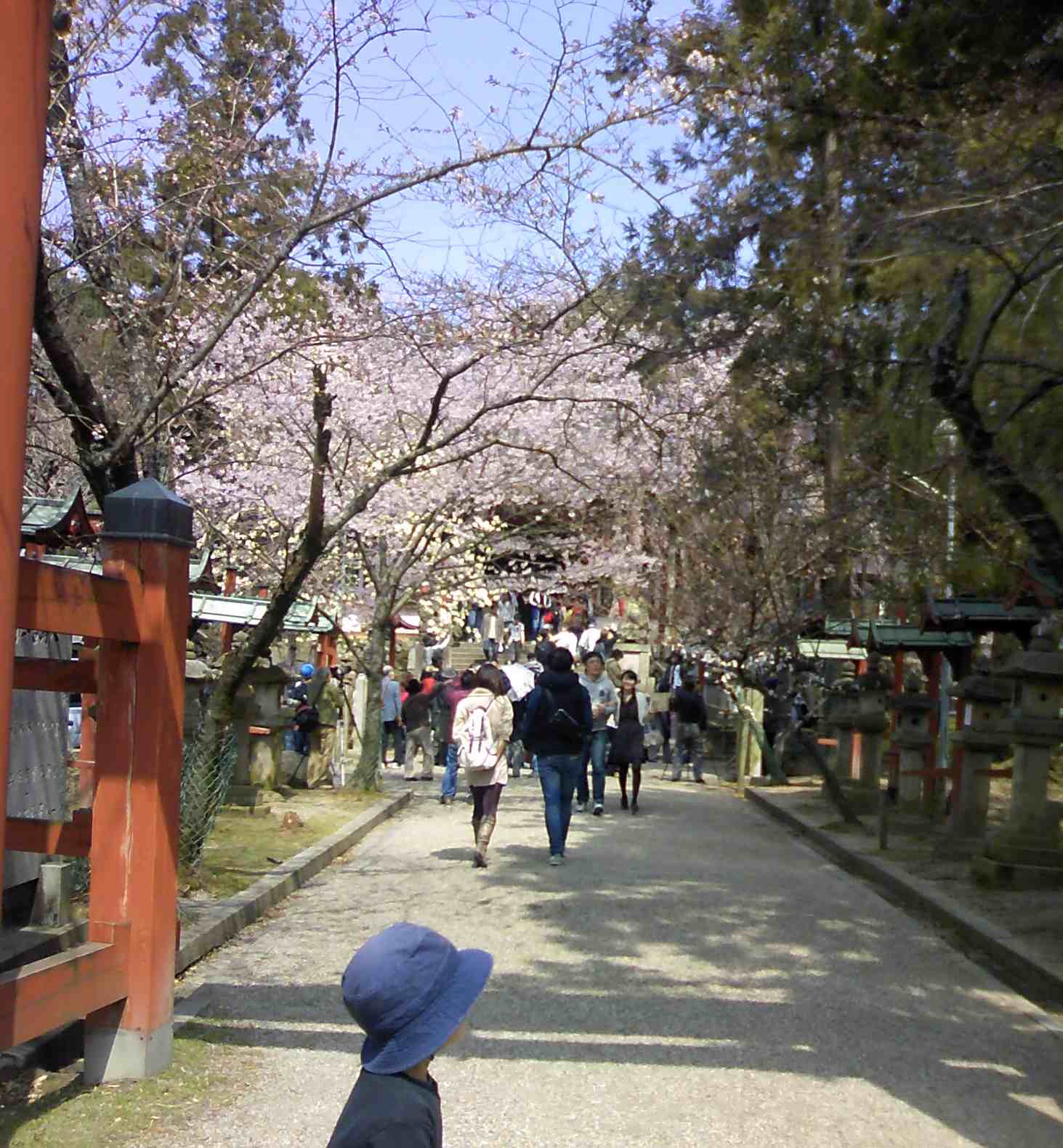 a0119252_1213891.jpg