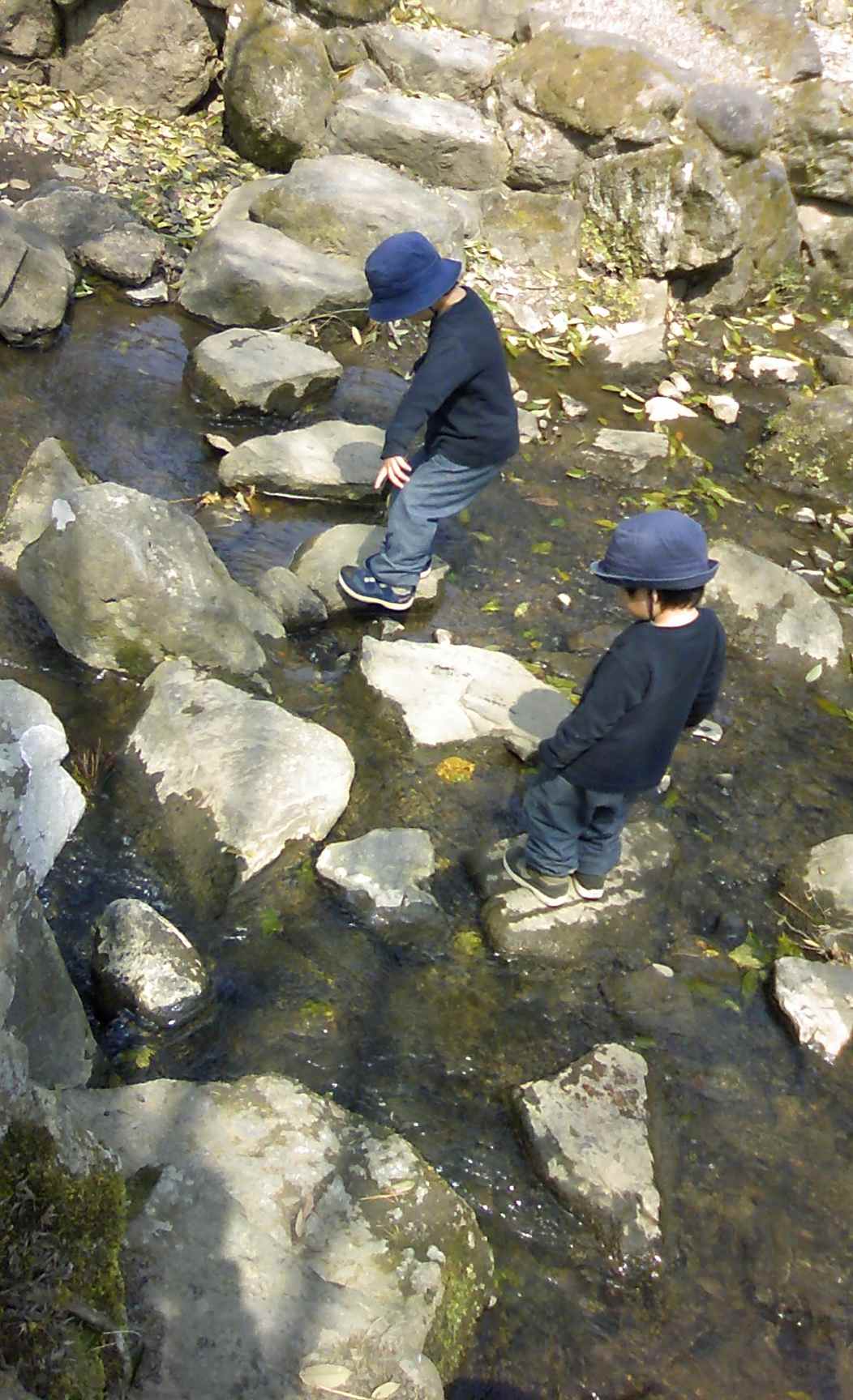 a0119252_123922.jpg