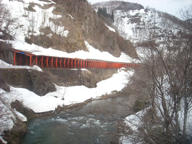 a0088456_2159020.jpg