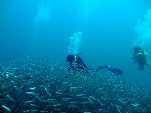f0176156_15354227.jpg