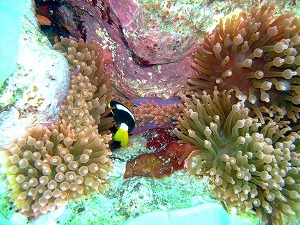 f0176156_15384441.jpg