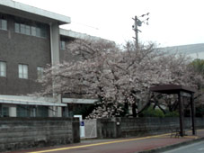 d0029958_13394956.jpg