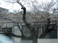 d0029958_1340150.jpg