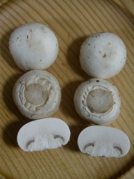 f0027759_1152572.jpg