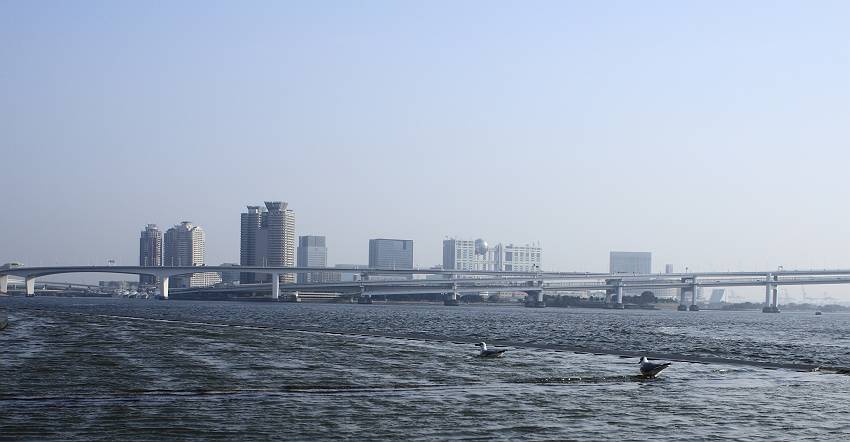 f0103860_12141640.jpg