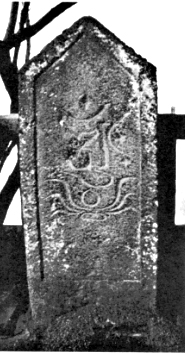 e0018762_8385660.jpg
