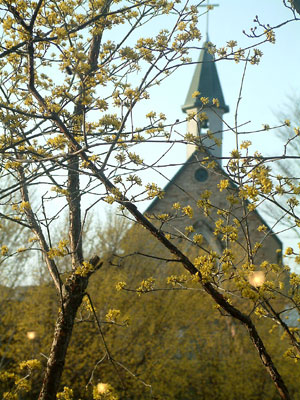 c0050264_11505583.jpg