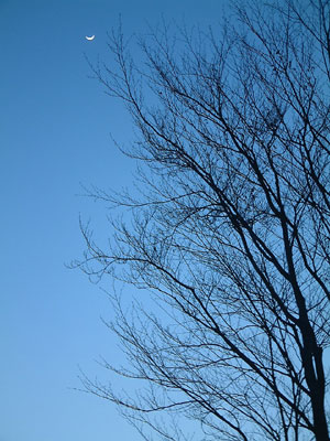 c0050264_12194723.jpg