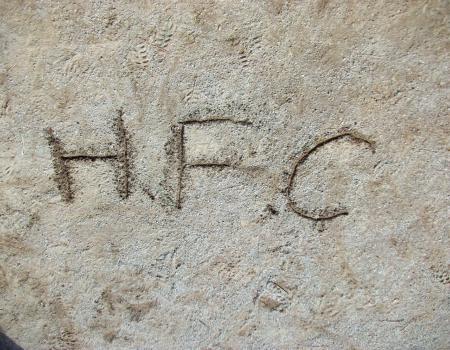 c0185364_2241570.jpg