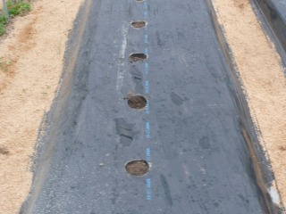 f0055264_22235548.jpg